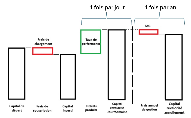 graphique des frais sur l'assurance-vie